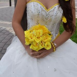 Quinceañera Dress